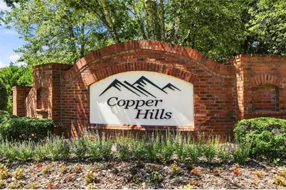 128 Copper Hills Drive, Canton, GA 30114 - Photo 68