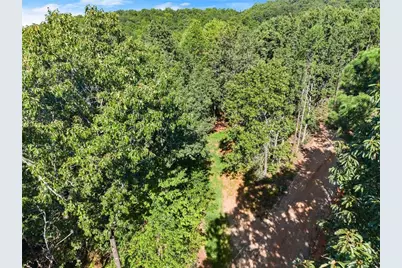 375 Mountain Crest Drive, Clarkesville, GA 30523 - Photo 6