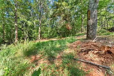375 Mountain Crest Drive, Clarkesville, GA 30523 - Photo 10
