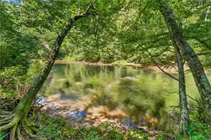 48 Riverwood Trail, Ellijay, GA 30536 - Photo 10