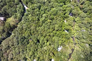 48 Riverwood Trail, Ellijay, GA 30536 - Photo 50