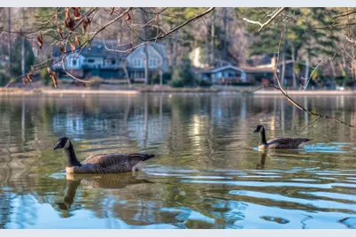 271 Quail Run, Roswell, GA 30076 - Photo 8