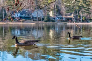 271 Quail Run, Roswell, GA 30076 - Photo 8