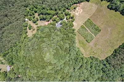 230 Haynes Road, Moreland, GA 30259 - Photo 38