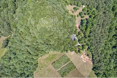 230 Haynes Road, Moreland, GA 30259 - Photo 36