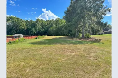 117 Palomino Drive, Newnan, GA 30265 - Photo 28
