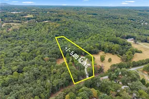 780 Blacks Mill Rd, Dawsonville, GA 30534 - Photo 50