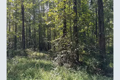 6485 Forsyth Drive, Cumming, GA 30028 - Photo 24