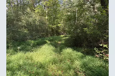 6485 Forsyth Drive, Cumming, GA 30028 - Photo 16