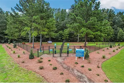 247 Salt Lake Lane, Hoschton, GA 30548 - Photo 24