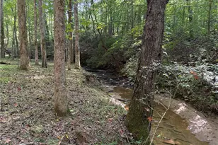 149 Hidden Creek Rd, Jasper, GA 30143 - Photo 72