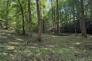 149 Hidden Creek Rd, Jasper, GA 30143 - Photo 74