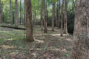 149 Hidden Creek Rd, Jasper, GA 30143 - Photo 10