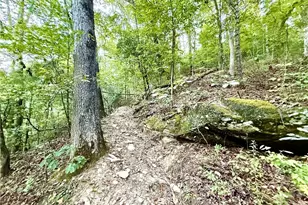 1275 Marie Dr, Talking Rock, GA 30175 - Photo 68