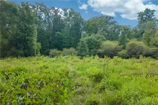 1345 Chandler Rd, Lawrenceville, GA 30045 - Photo 88