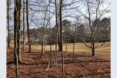 104 Hawks Court, Ball Ground, GA 30107 - Photo 6