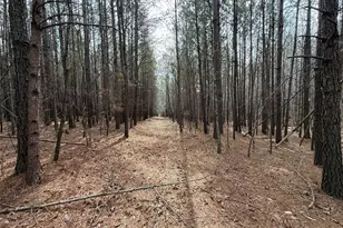 3600 Thompson Mill Rd, Buford, GA 30519 - Photo 70