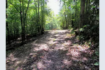 343 Hollybrook Road, Dahlonega, GA 30533 - Photo 8