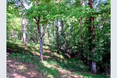 343 Hollybrook Road, Dahlonega, GA 30533 - Photo 4