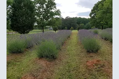 442 Buffalo Creek Road, Carrollton, GA 30117 - Photo 102