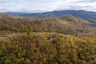 1250 Lost Forest Rd, Ellijay, GA 30536 - Photo 36