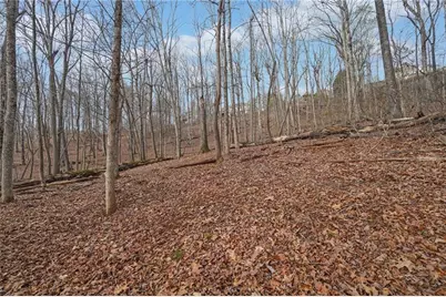 41A&42 Madeline Anthony Road, Dahlonega, GA 30533 - Photo 6