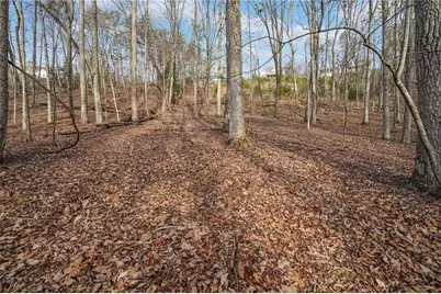 41A&42 Madeline Anthony Road, Dahlonega, GA 30533 - Photo 8