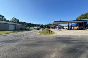 57 Spruce St, Mineral Bluff, GA 30559 - Photo 2