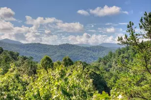 12 N Dream Catcher, Blue Ridge, GA 30513 - Photo 62