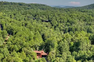 12 N Dream Catcher, Blue Ridge, GA 30513 - Photo 66