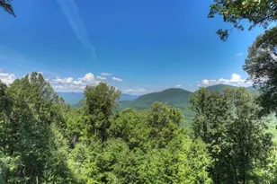 917 Walnut Ridge, Ellijay, GA 30536 - Photo 2