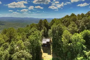917 Walnut Ridge, Ellijay, GA 30536 - Photo 48