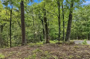 3 Turkey Spur Dr, Ellijay, GA 30540 - Photo 8