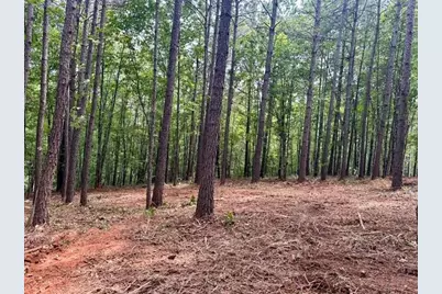 130 Patriot View Drive, Dahlonega, GA 30533 - Photo 6