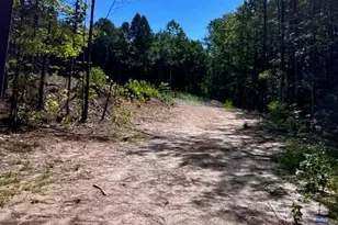 343 Delta Ln, Rockmart, GA 30153 - Photo 1