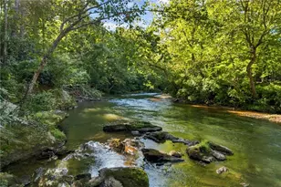 858 River Forest Run, Cleveland, GA 30528 - Photo 2