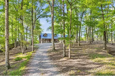858 River Forest Run, Cleveland, GA 30528 - Photo 4