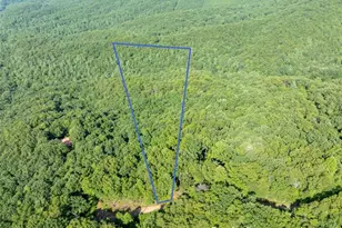 Lot 9 Brushy Top Dr, Chatsworth, GA 30705 - Photo 1