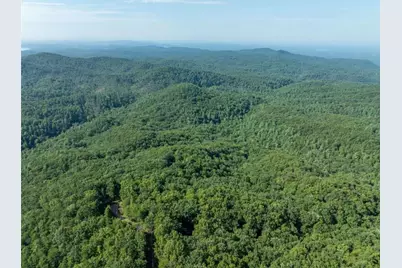 Lot 9 Brushy Top Drive, Chatsworth, GA 30705 - Photo 4