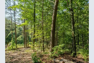 Lot 9 Brushy Top Drive, Chatsworth, GA 30705 - Photo 18