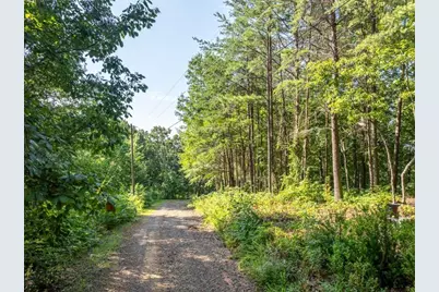 Lot 9 Brushy Top Drive, Chatsworth, GA 30705 - Photo 16