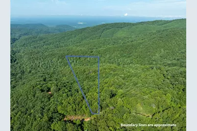 Lot 9 Brushy Top Drive, Chatsworth, GA 30705 - Photo 2