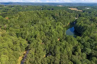 2038 Laurel Cove, Ball Ground, GA 30107 - Photo 32