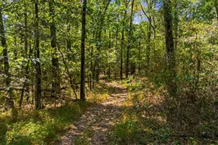 2572 Kingston Hwy, Rome, GA 30161 - Photo 72