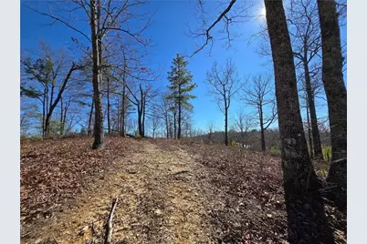 00 Brushy Mountain Road, Rockmart, GA 30153 - Photo 4