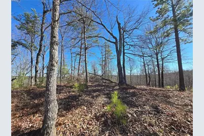 00 Brushy Mountain Road, Rockmart, GA 30153 - Photo 6