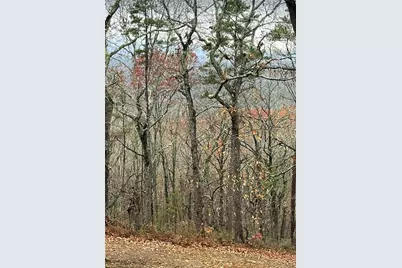437 McCurry Trail, Canton, GA 30114 - Photo 2