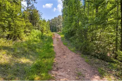 311 Caprice Drive, Martin, GA 30557 - Photo 16