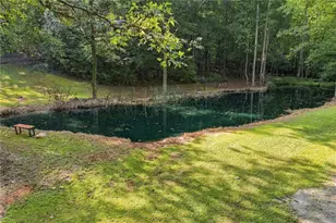 981 Cochran Ridge Rd, Hiram, GA 30141 - Photo 6