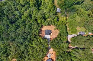 824 Banks Rd, Ellijay, GA 30540 - Photo 18
